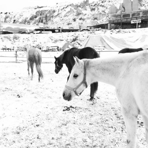 Atlarla Kapadokya Turu