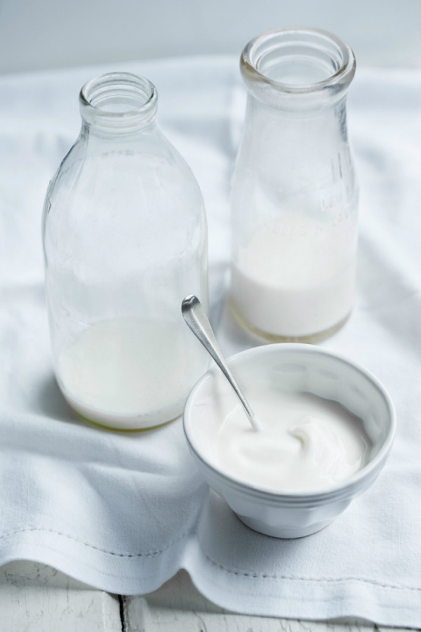 Süt ve Süt Ürünleri