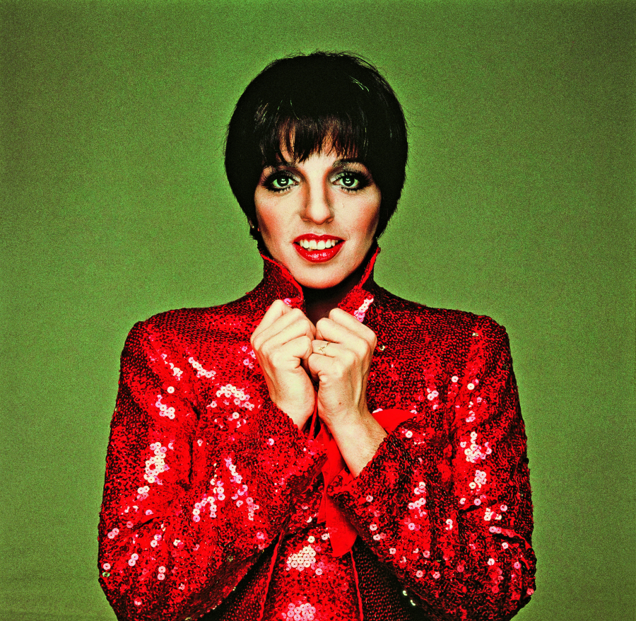 Liza Minnelli, 1985