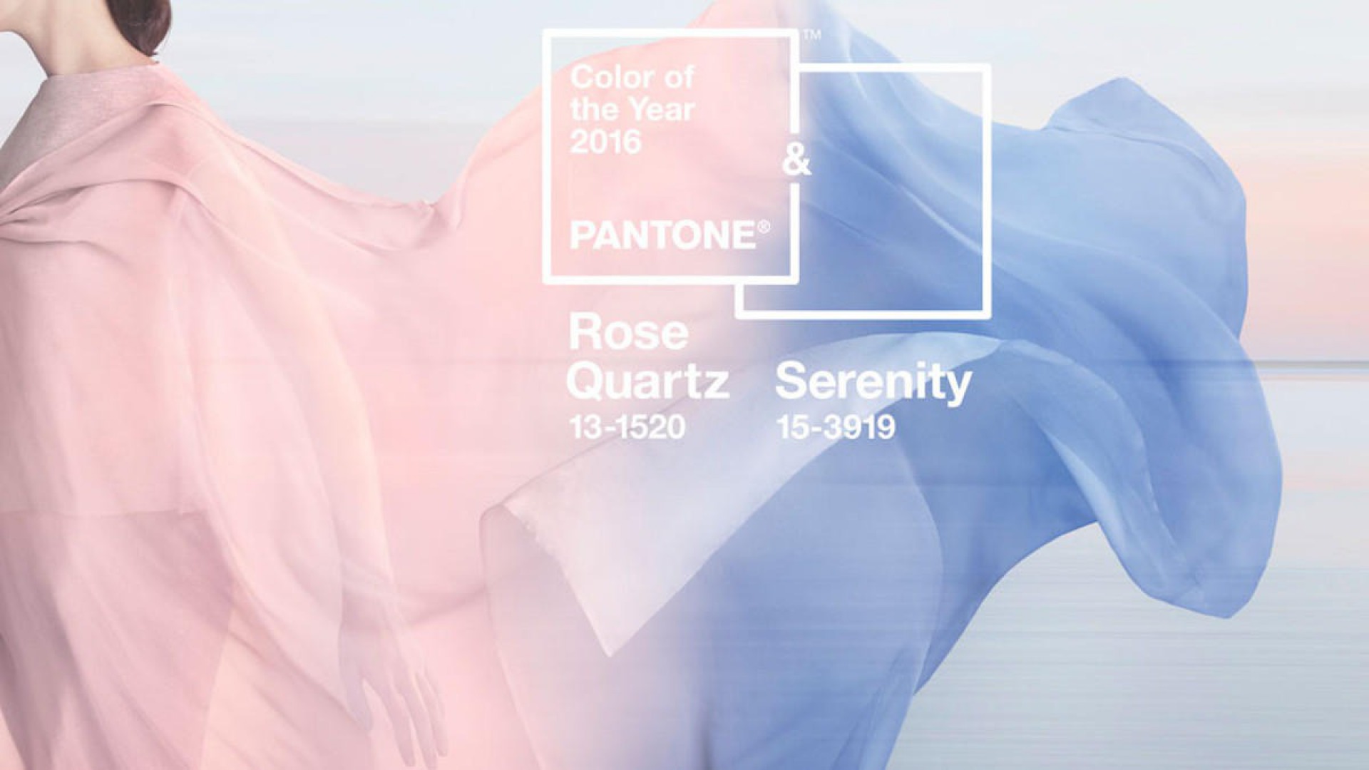 Pantone 2016'nın Renklerini Seçti