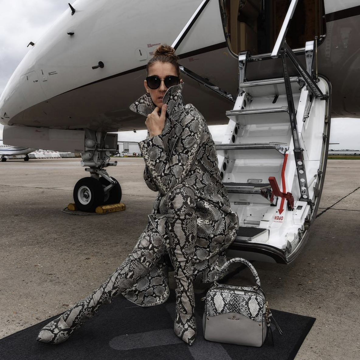 Céline Dion'un Jet Moda Günlüğü