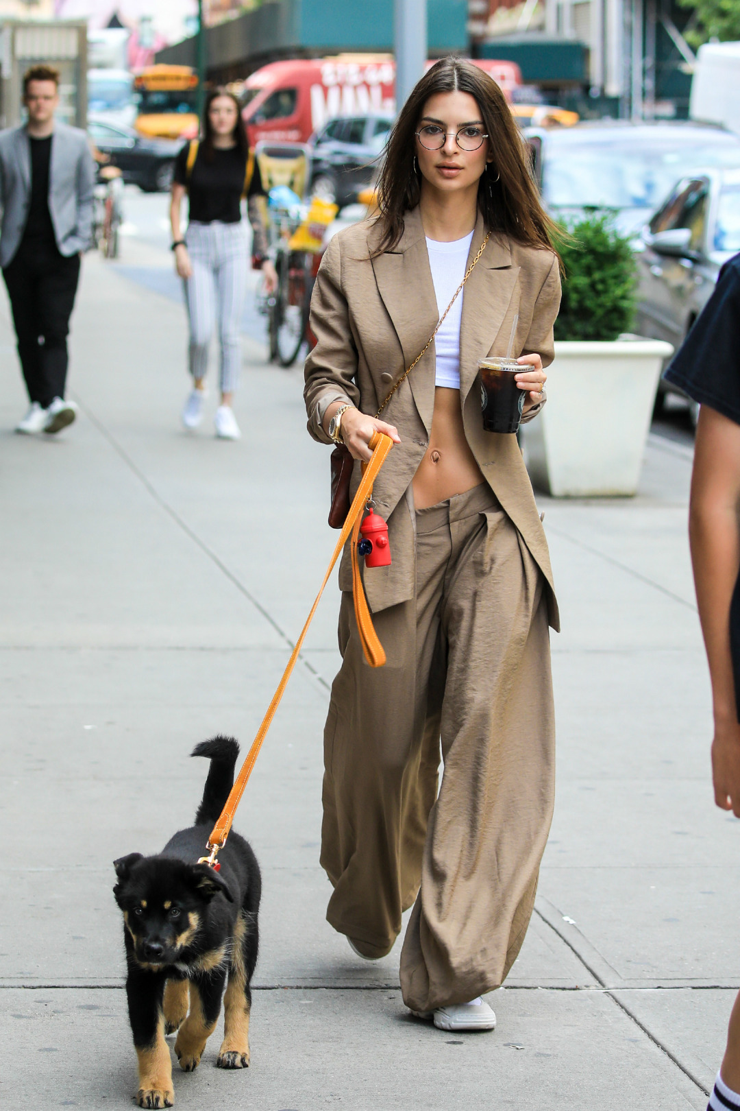 Nasıl Giyilir: Emily Ratajkowski'nin Köpeğiyle Yürüyüş Stili