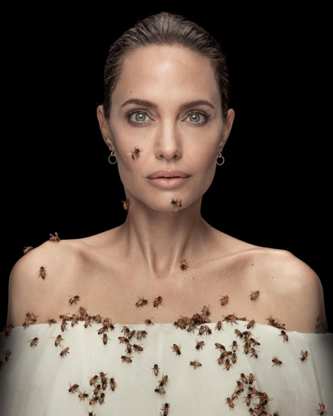 angelina-jolie-world-bee-day