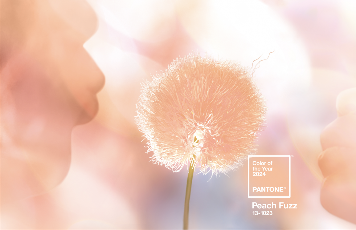 Pantone'den 2024'ün Rengi Peach Fuzz Vogue Türkiye