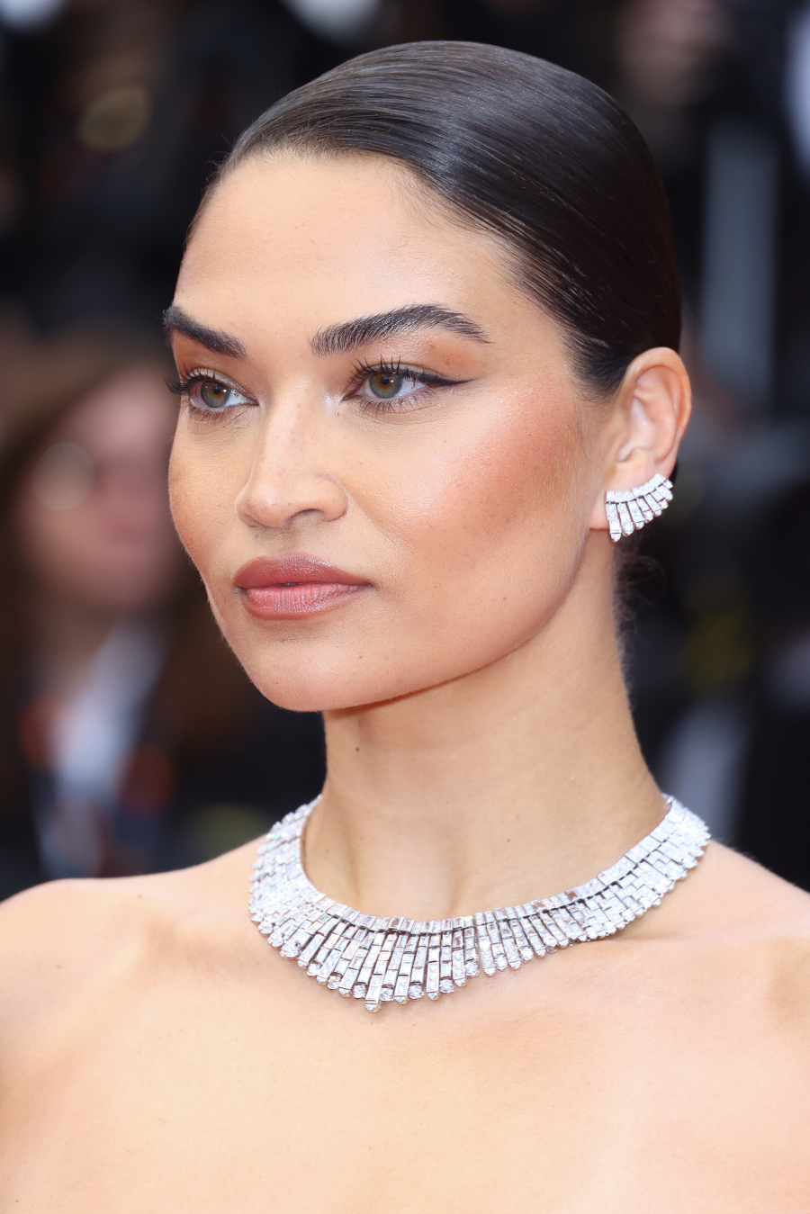 Shanina Shaik