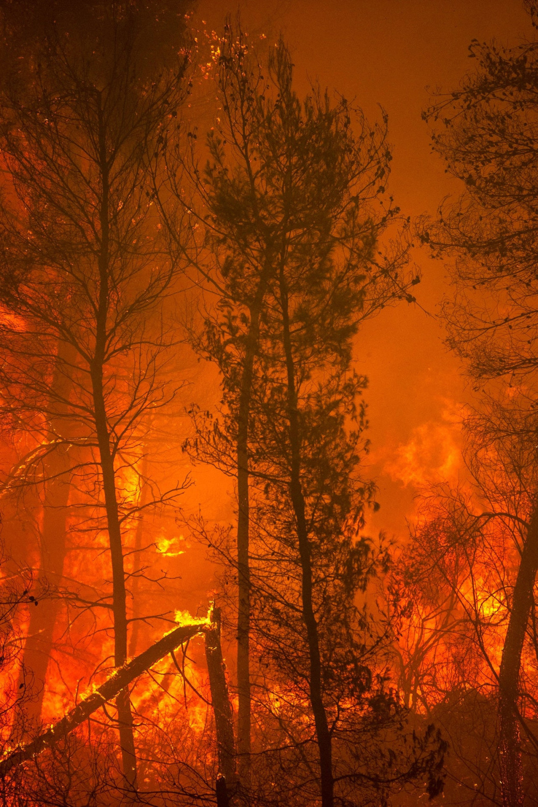 Kırmızı Alarm: İklim Krizi Raporu Ne Söylüyor?